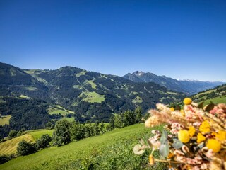 Unterkunft mieten für den Sommerurlaub