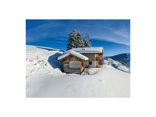 Hütte mieten im SalzburgerLand