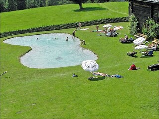 Apartment Hollersbach im Pinzgau Features 20