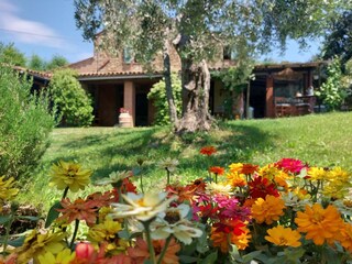 Casa per le vacanze Paganico Registrazione all'aperto 9