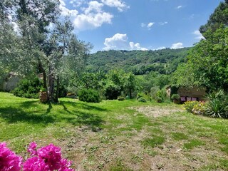 Ferienhaus Paganico Umgebung 27