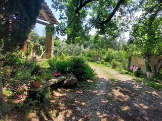 Casa per le vacanze Paganico Ambiente 29