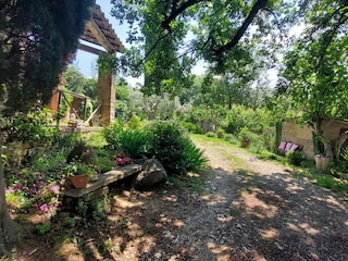 Ferienhaus Paganico Umgebung 29