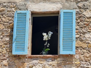 Ferienhaus Paganico Umgebung 26