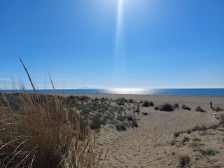 Ferienhaus Paganico Umgebung 31