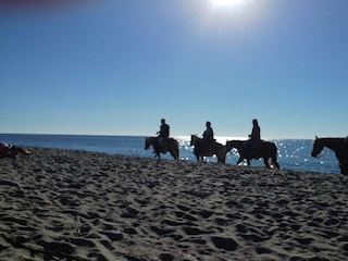 Ferienhaus Paganico Umgebung 32