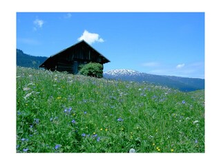 Kleinwalsertal im Sommer