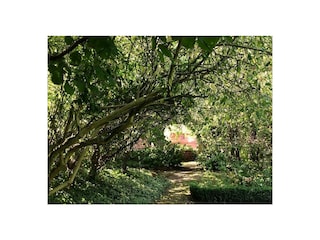 Ferienwohnung Möllenhagen Außenaufnahme 3