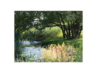 Ferienwohnung Möllenhagen Außenaufnahme 4