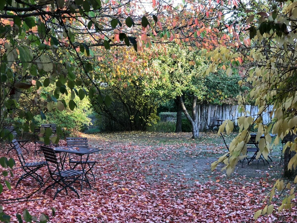 Ferienwohnung Möllenhagen Außenaufnahme 1