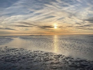 Landschaft