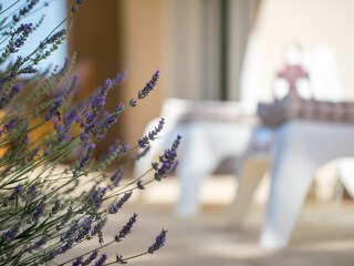 Villa Rasopasno Registrazione all'aperto 12