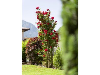 Apartamento de vacaciones Mayrhofen Grabación al aire libre 5
