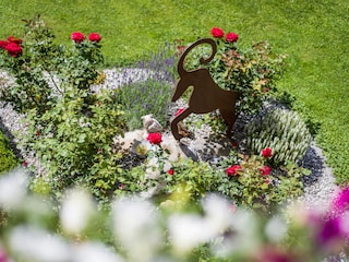 Der Steinbock im Rosengarten