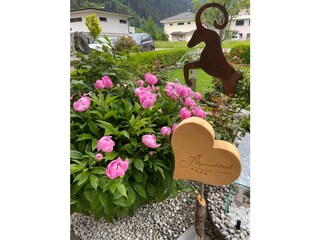 Apartamento de vacaciones Mayrhofen Grabación al aire libre 15