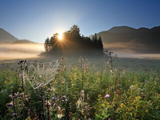 Appartamento per vacanze Reit im Winkl Ambiente 16