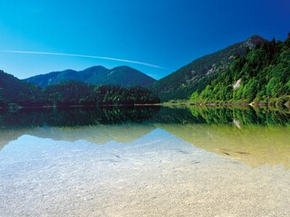 Appartamento per vacanze Reit im Winkl Ambiente 13