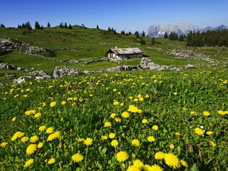 Appartamento per vacanze Reit im Winkl Ambiente 18