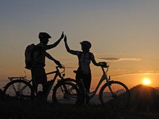 Appartamento per vacanze Reit im Winkl Ambiente 19