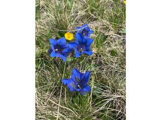 Capanna alpina Eisentratten Registrazione all'aperto 11