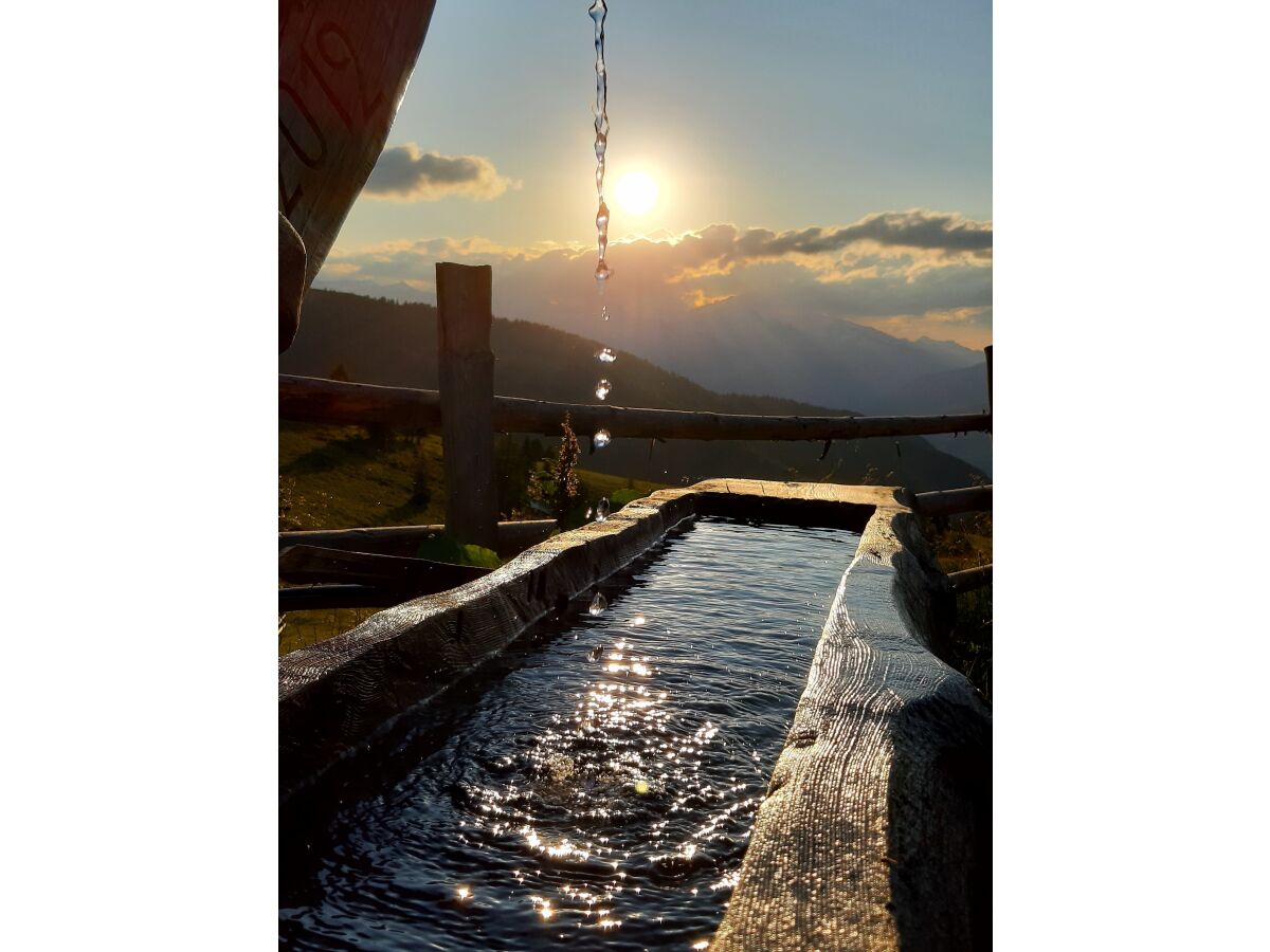 Klares Bergwasser direkt aus der Quelle