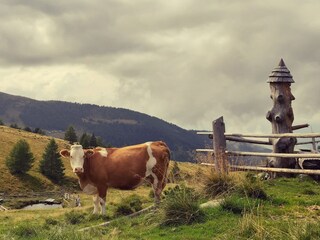 Capanna alpina Eisentratten Registrazione all'aperto 9