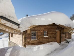 Bergchalet groß - Schröcken - image1