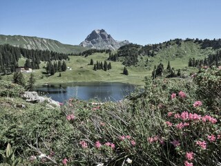 Körbersee-  nur eine kleine Wanderung entfernt