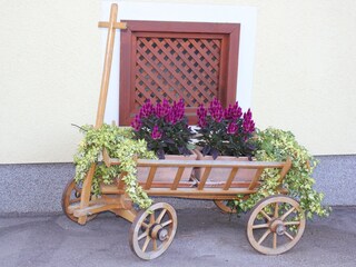 Appartamento per vacanze Nußdorf am Attersee Registrazione all'aperto 14