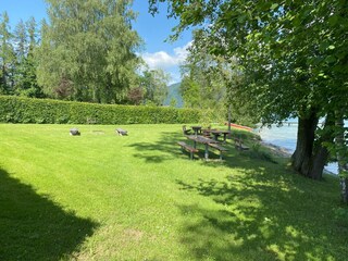 Appartamento per vacanze Nußdorf am Attersee Registrazione all'aperto 7