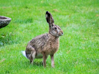 Holiday house Als Outdoor Recording 15