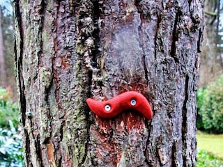 Casa per le vacanze Als Registrazione all'aperto 17