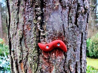 Holiday house Als Outdoor Recording 10