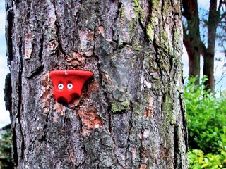 Ferienhaus Als Außenaufnahme 12