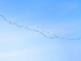 Ferienhaus Als Außenaufnahme 20