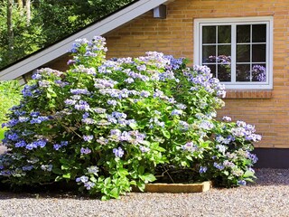 Ferienhaus Als  36