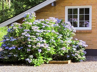 Ferienhaus Als  40