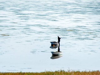 Maison de vacances Als  43