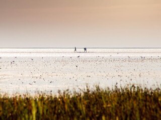 Vakantiehuis Als  44