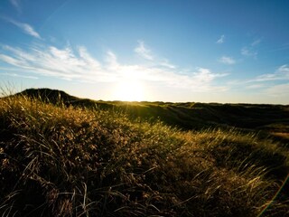 Casa de vacaciones Vejers Strand  15