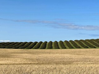 Vakantiehuis Sjællands Odde  45
