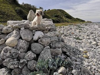 Maison de vacances Lumsås  23
