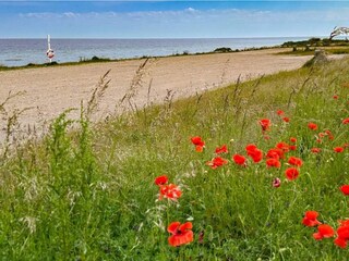 Ferienhaus Lumsås  25