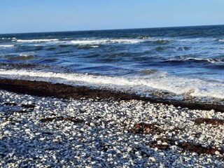 Holiday house Lumsås  43