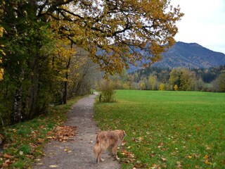 Gemütlicher Spaziergang an der Leitzach