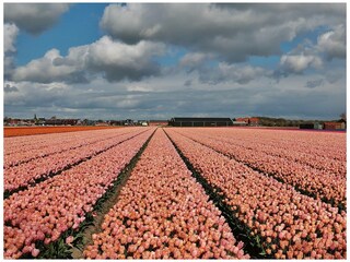 Appartamento Egmond aan den Hoef Ambiente 21