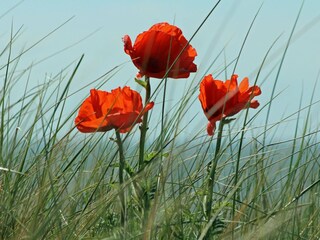 Appartamento Egmond aan den Hoef Ambiente 24