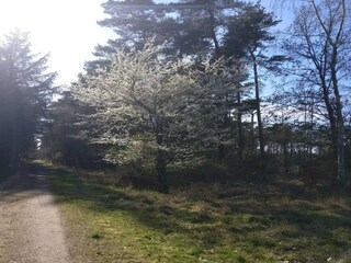 Casa de vacaciones Lumsås  31