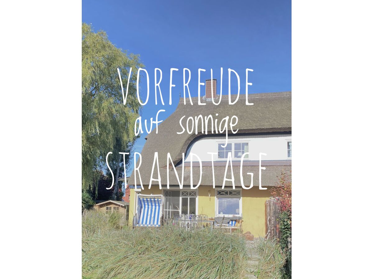 buchen Sie jetzt den Sommer …