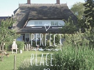 perfect  place